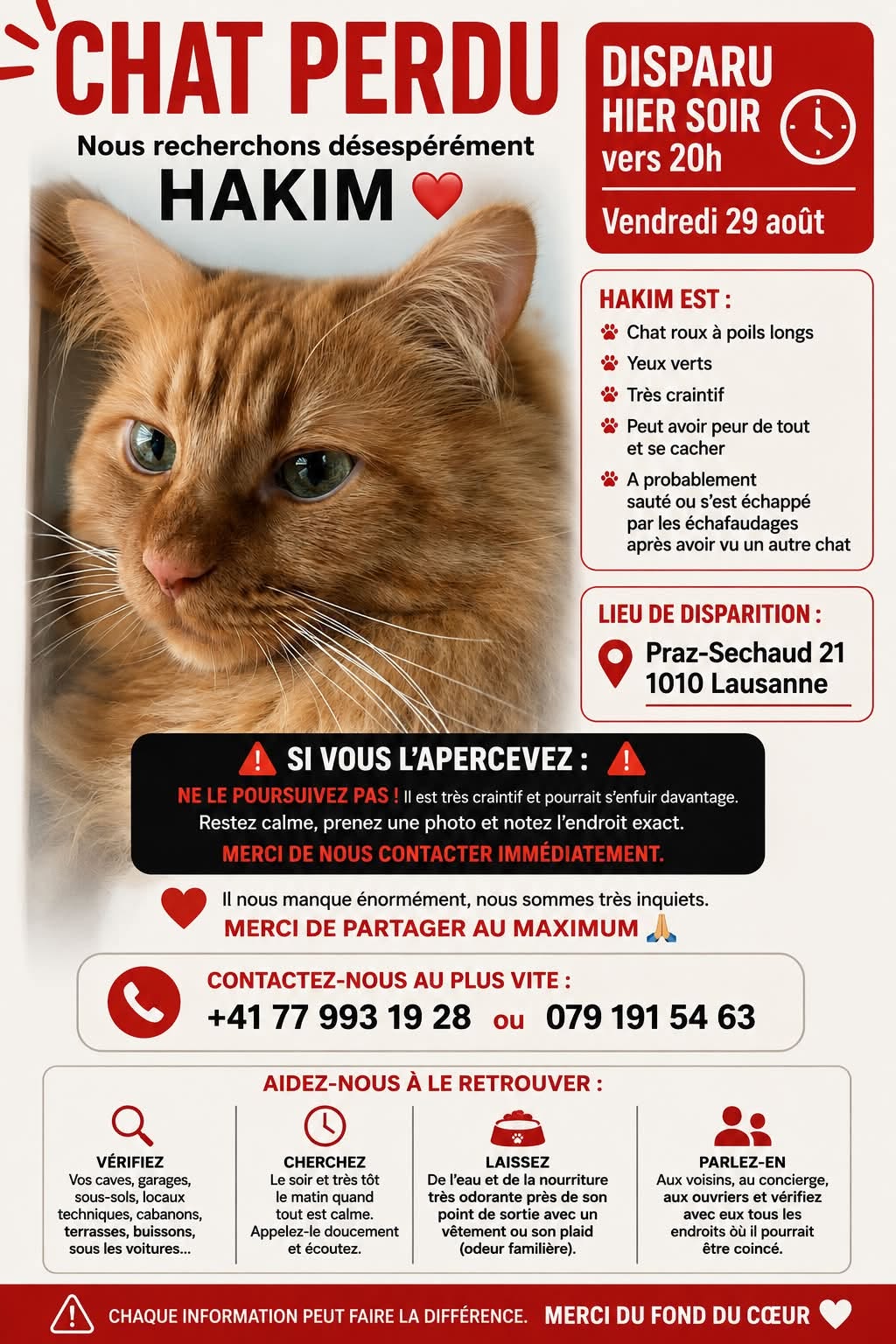Lost Cat in Lausanne
