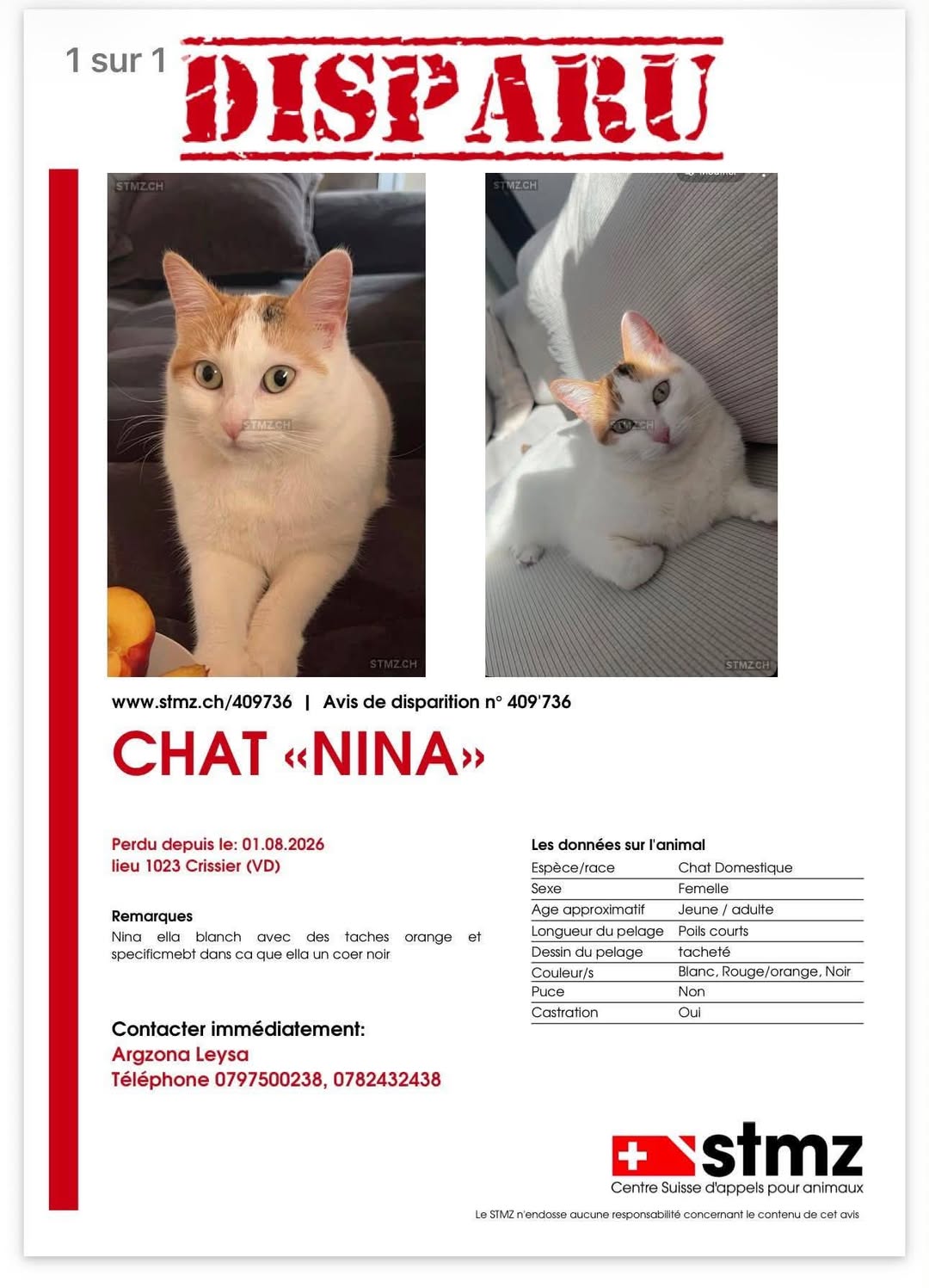 Lost Cat in Vaud