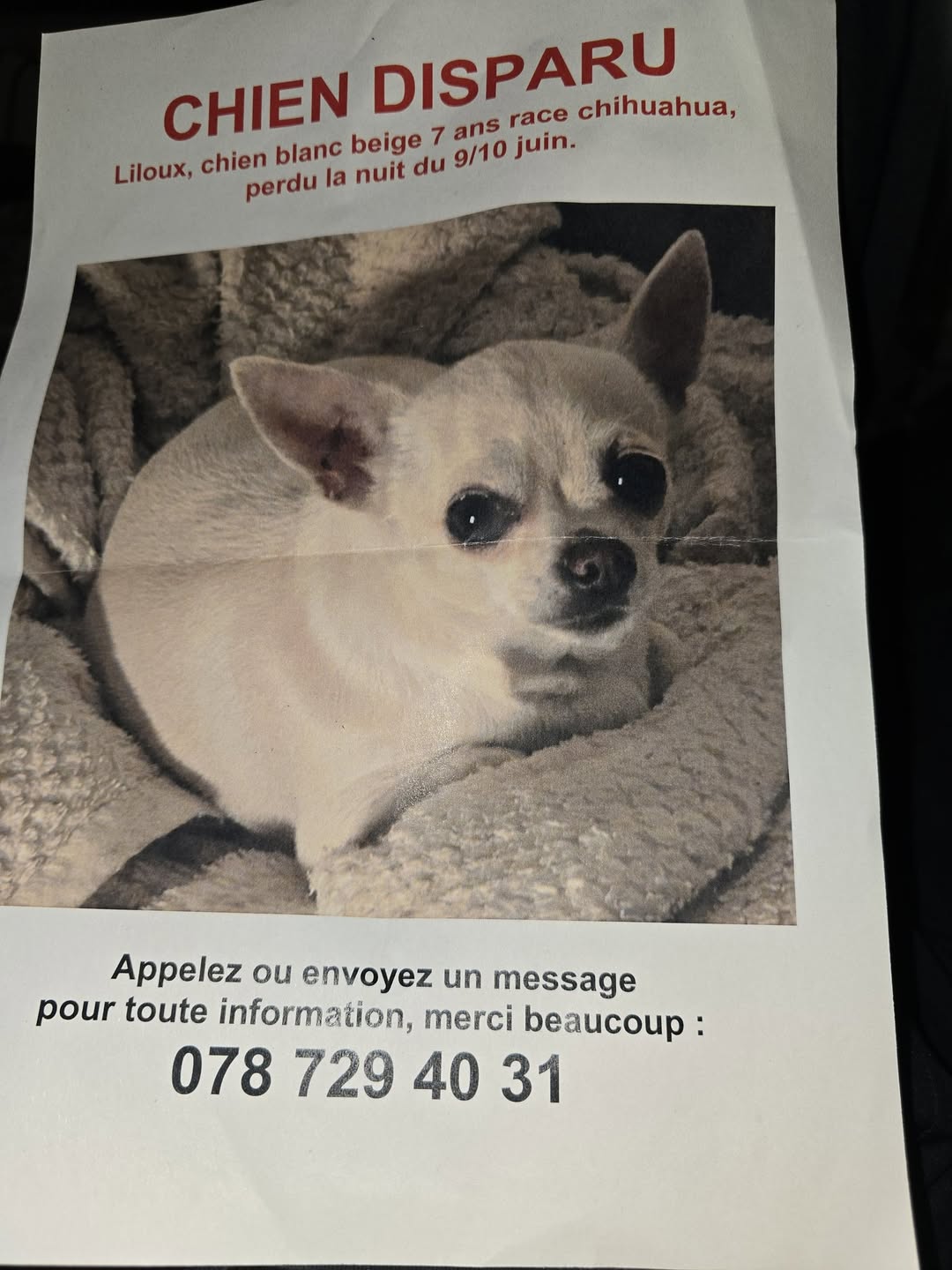 Lost Dog in Switzerland