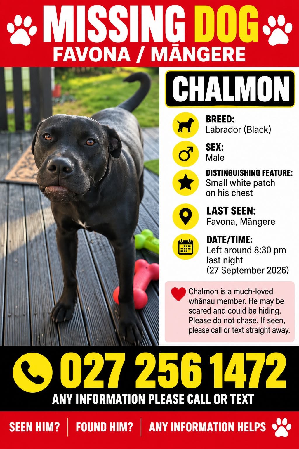 Lost dog