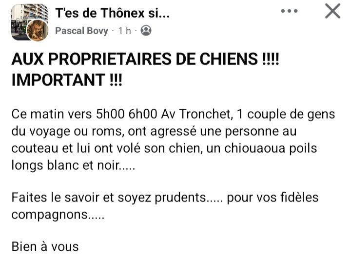Lost Dog in ThôNex