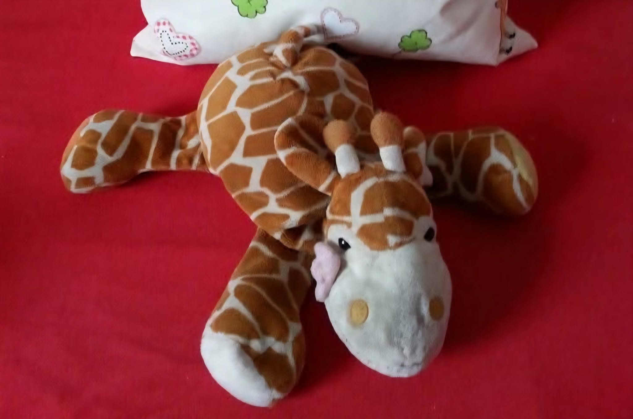 Lost Toy in Flixbus