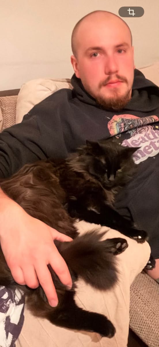 Lost Cat in Saxon