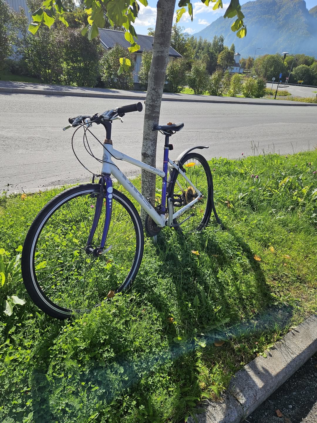 Found Bike in MosjøEn