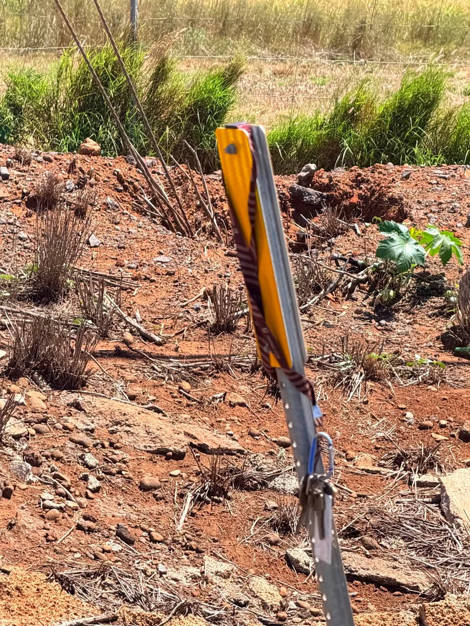 Found Keys in Maui