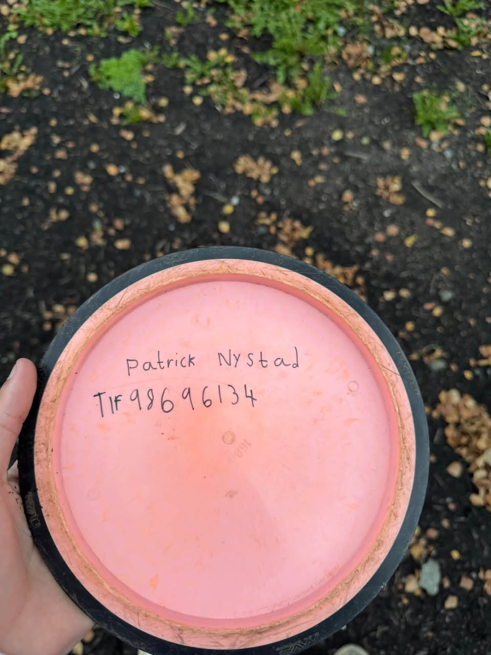 Found Frisbee in MosjøEn