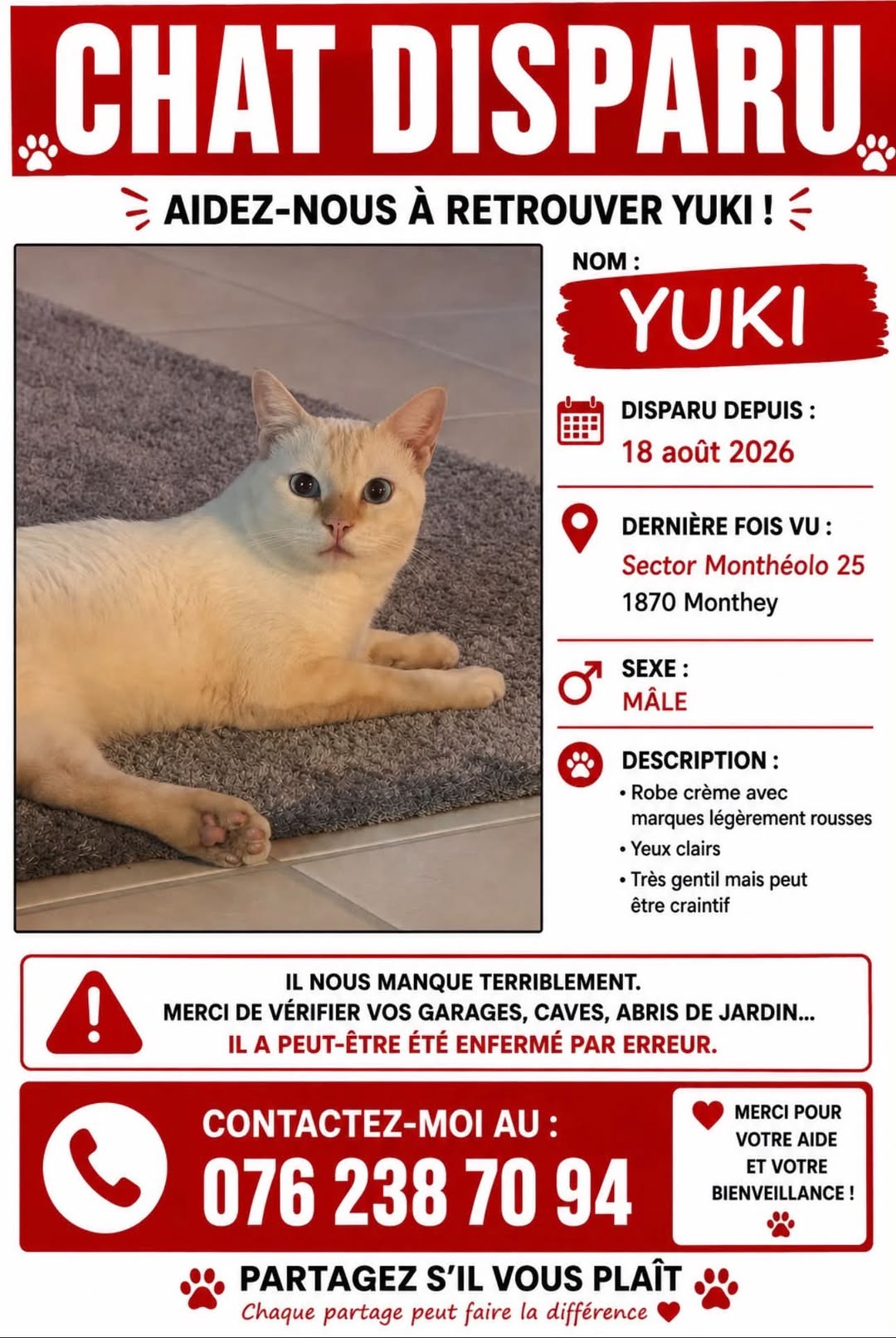 Lost cat