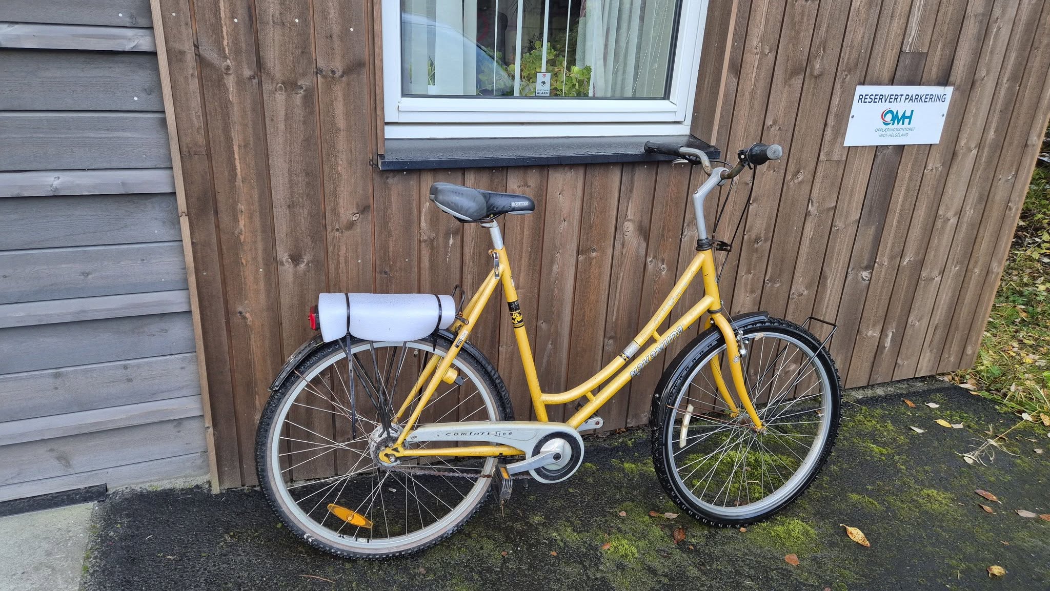 Found bike