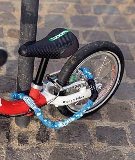 Lost Bike Lock in Dresden