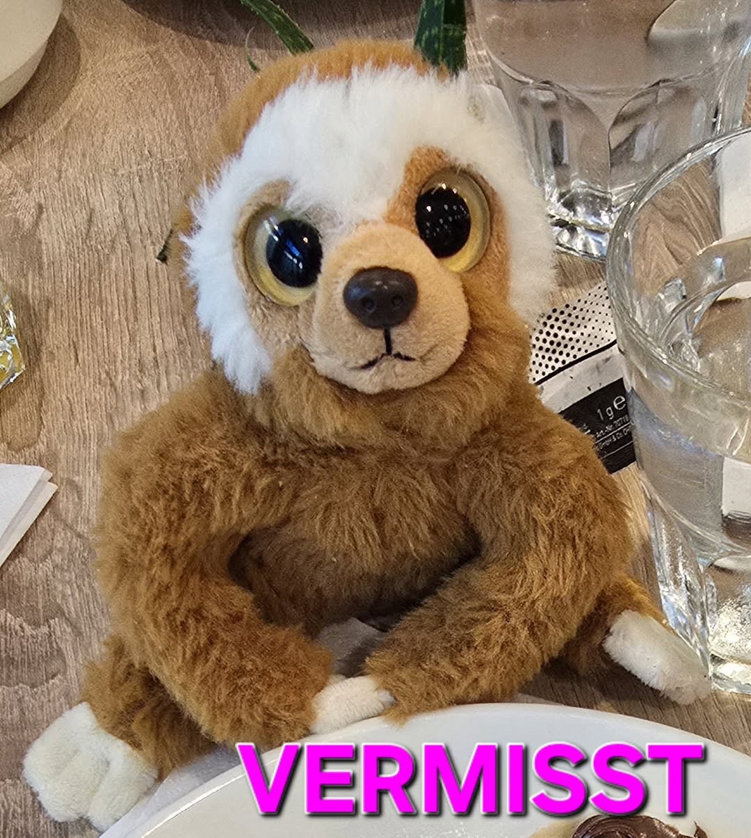 Lost Toy in Dresden