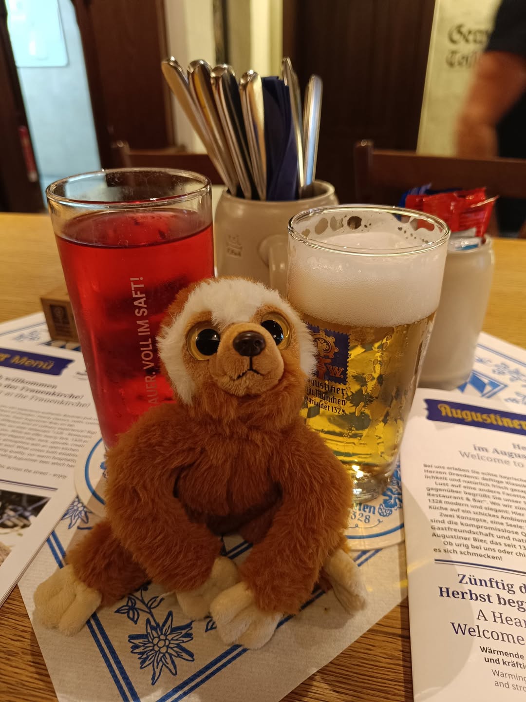 Lost Plush Toy in Dresden
