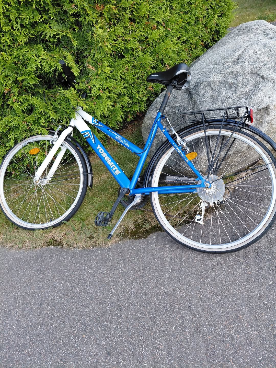 Found bike
