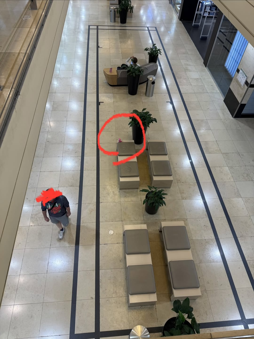 Found Toy in Dresden