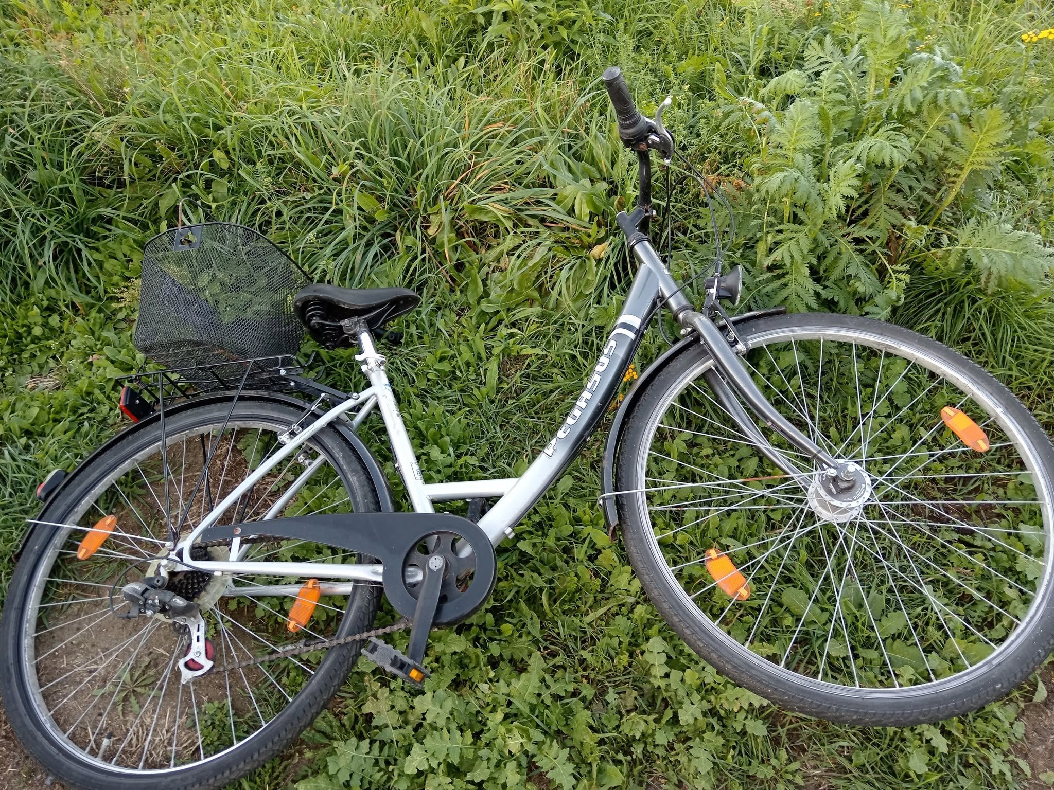 Found bike