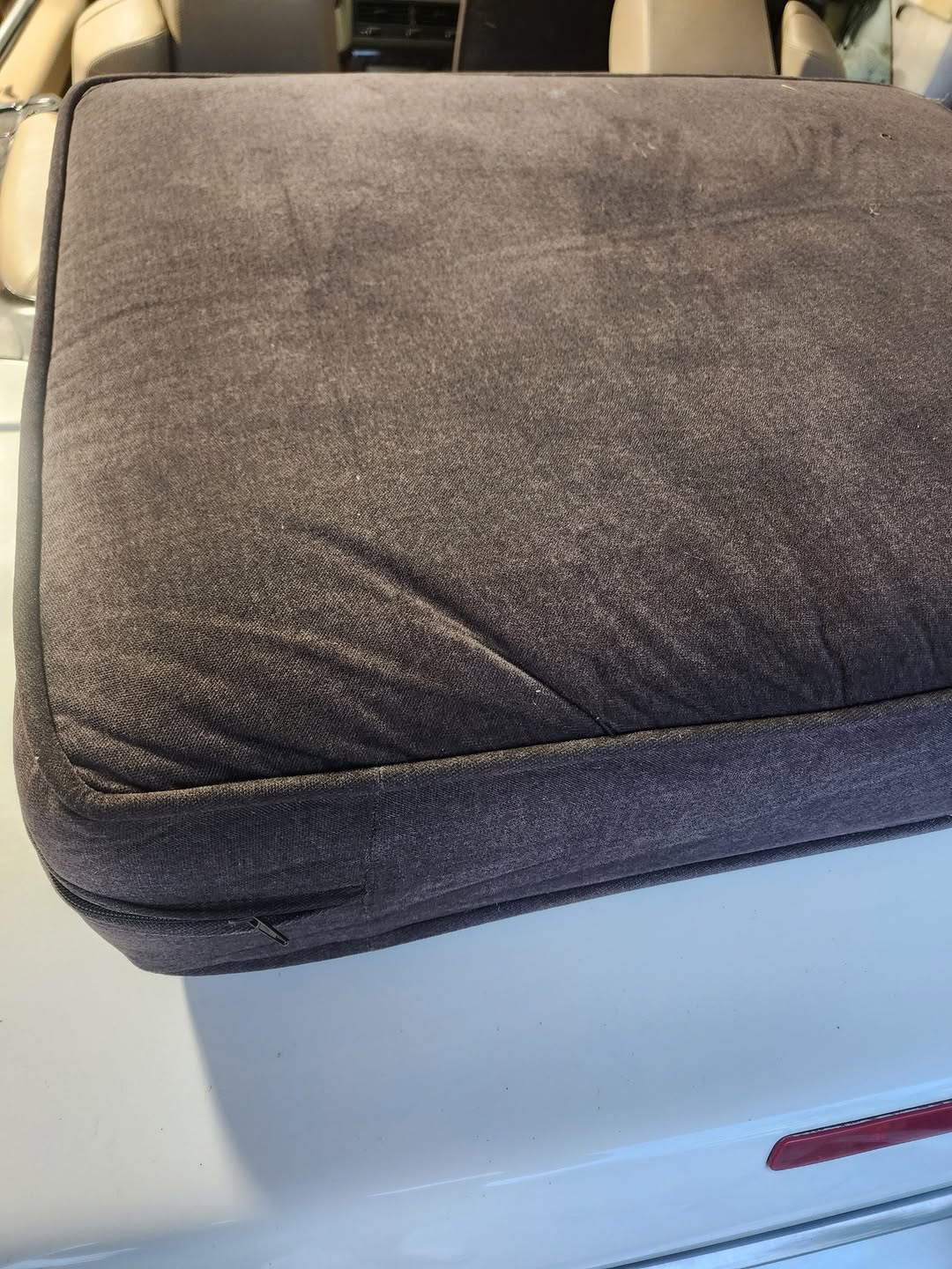Found Cushion in Wichita
