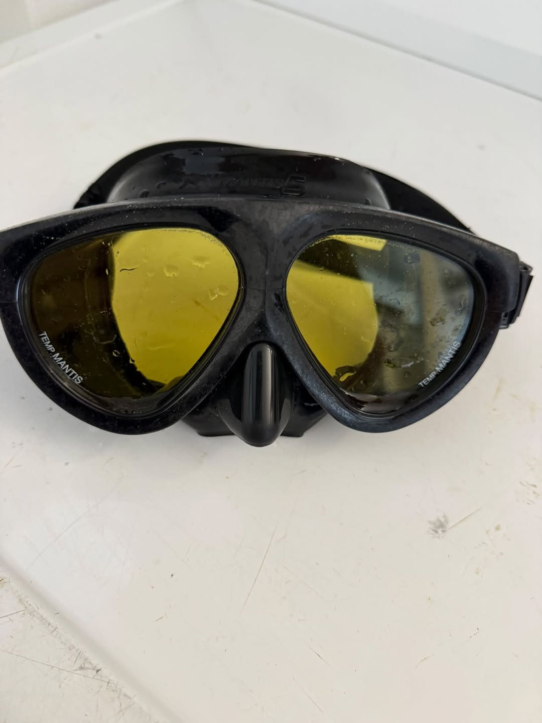 Found Diving Mask in San Diego
