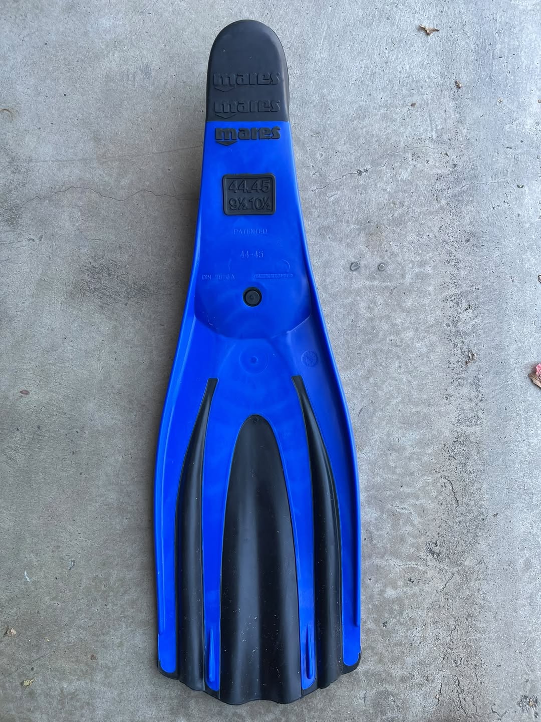 Found Swim Fin in Vallecitos Point