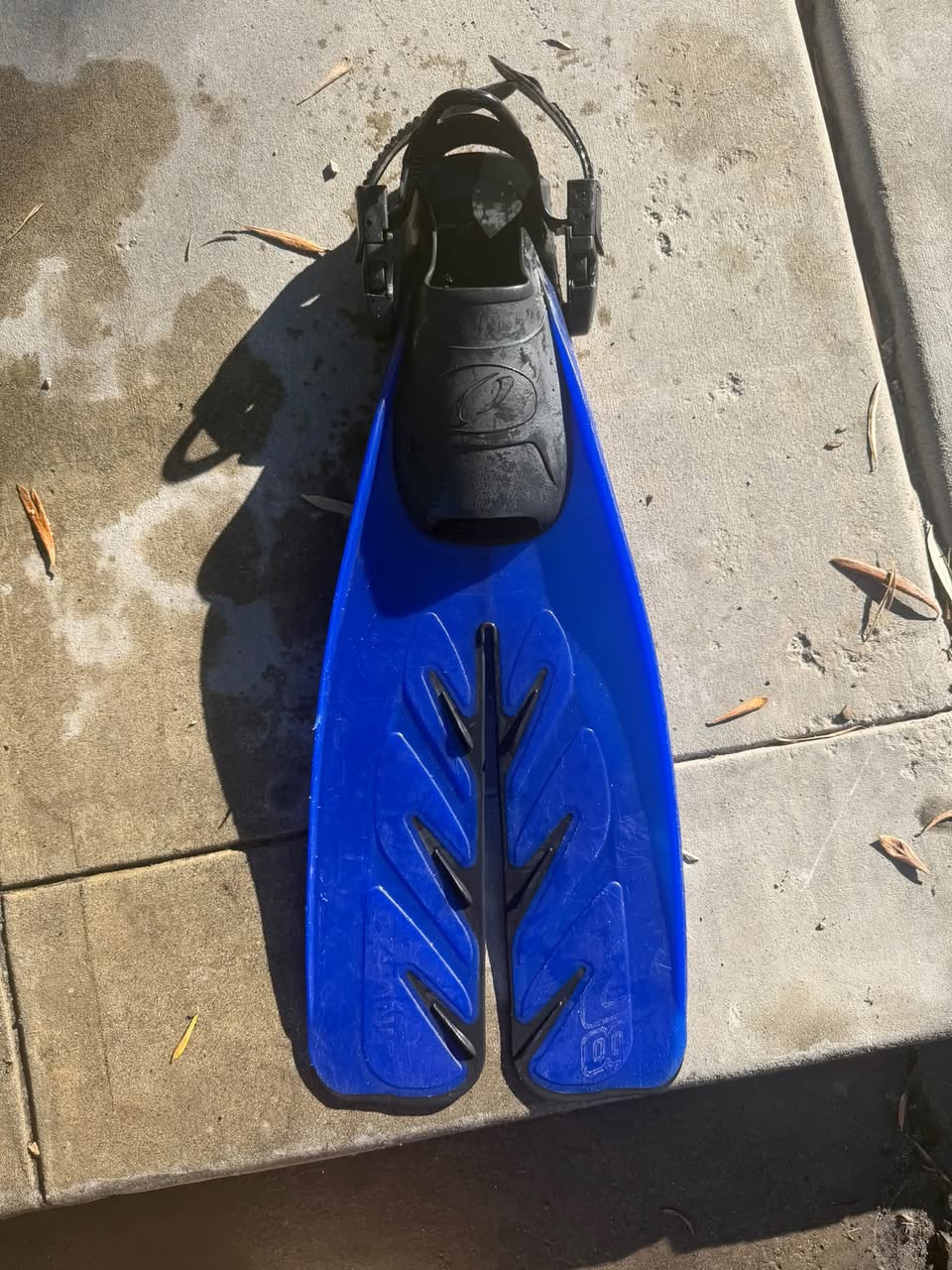 Lost Fin in La Jolla