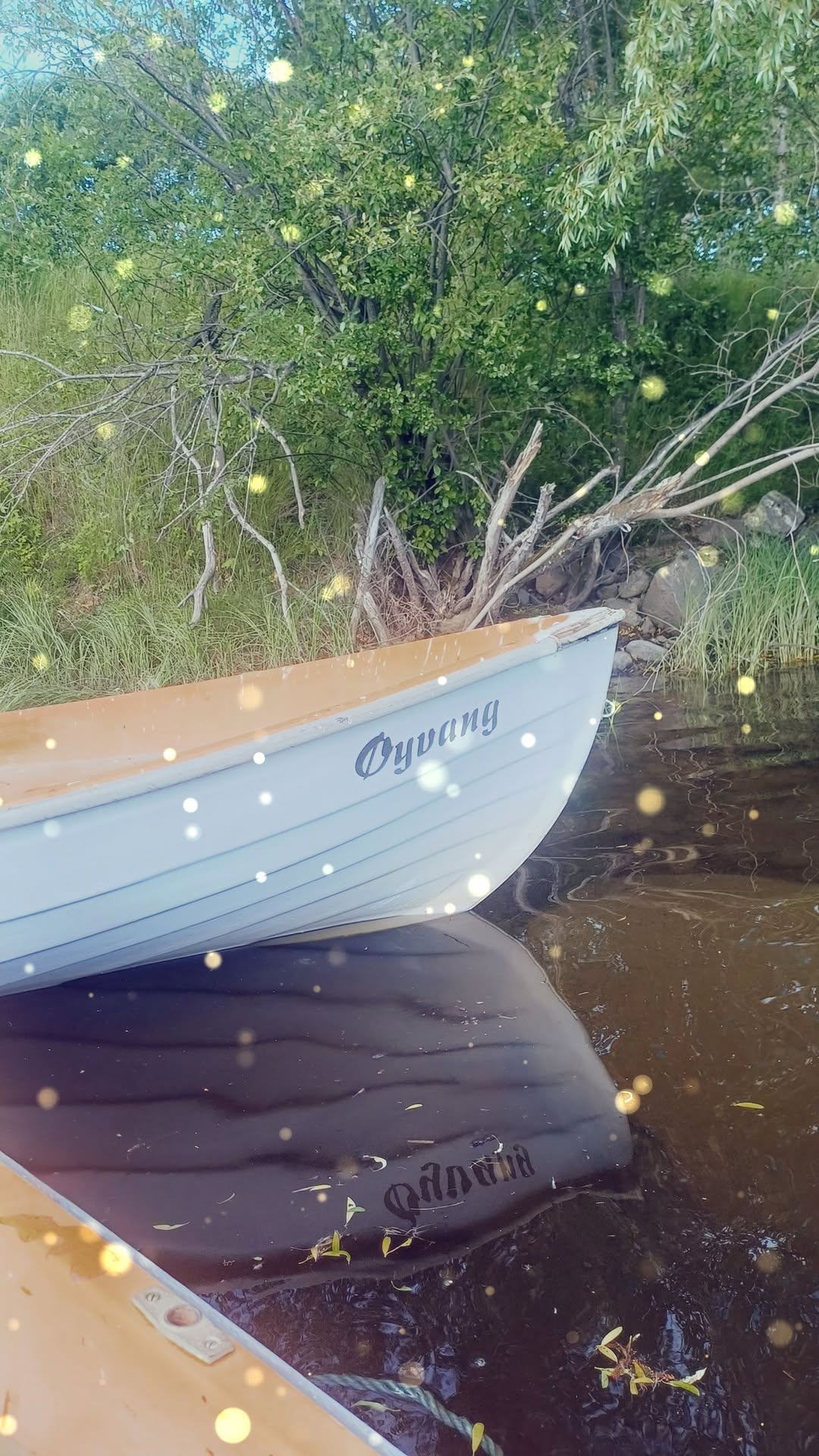 Found boat