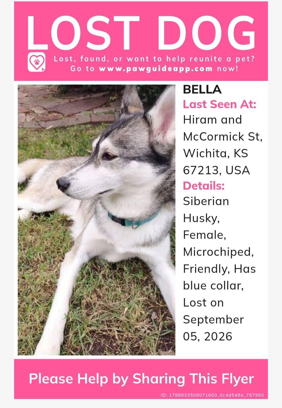 Lost Dog in Wichita