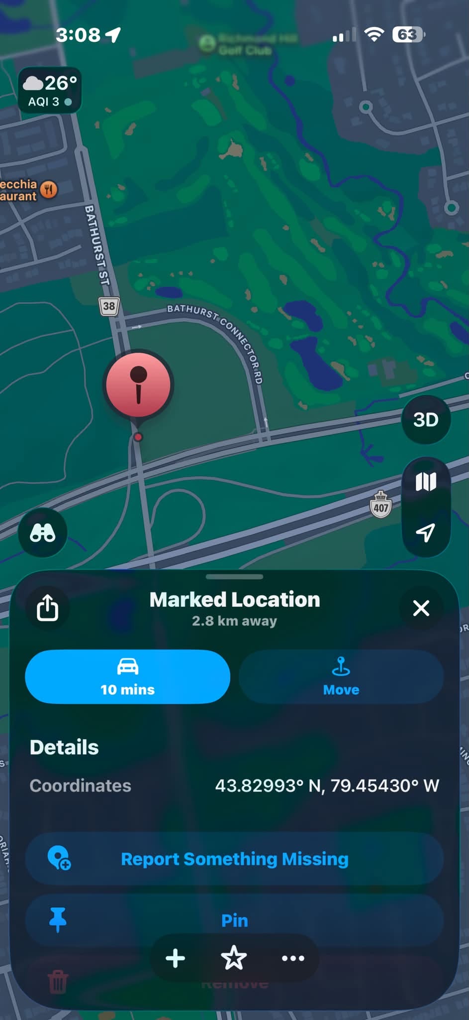 Found dog