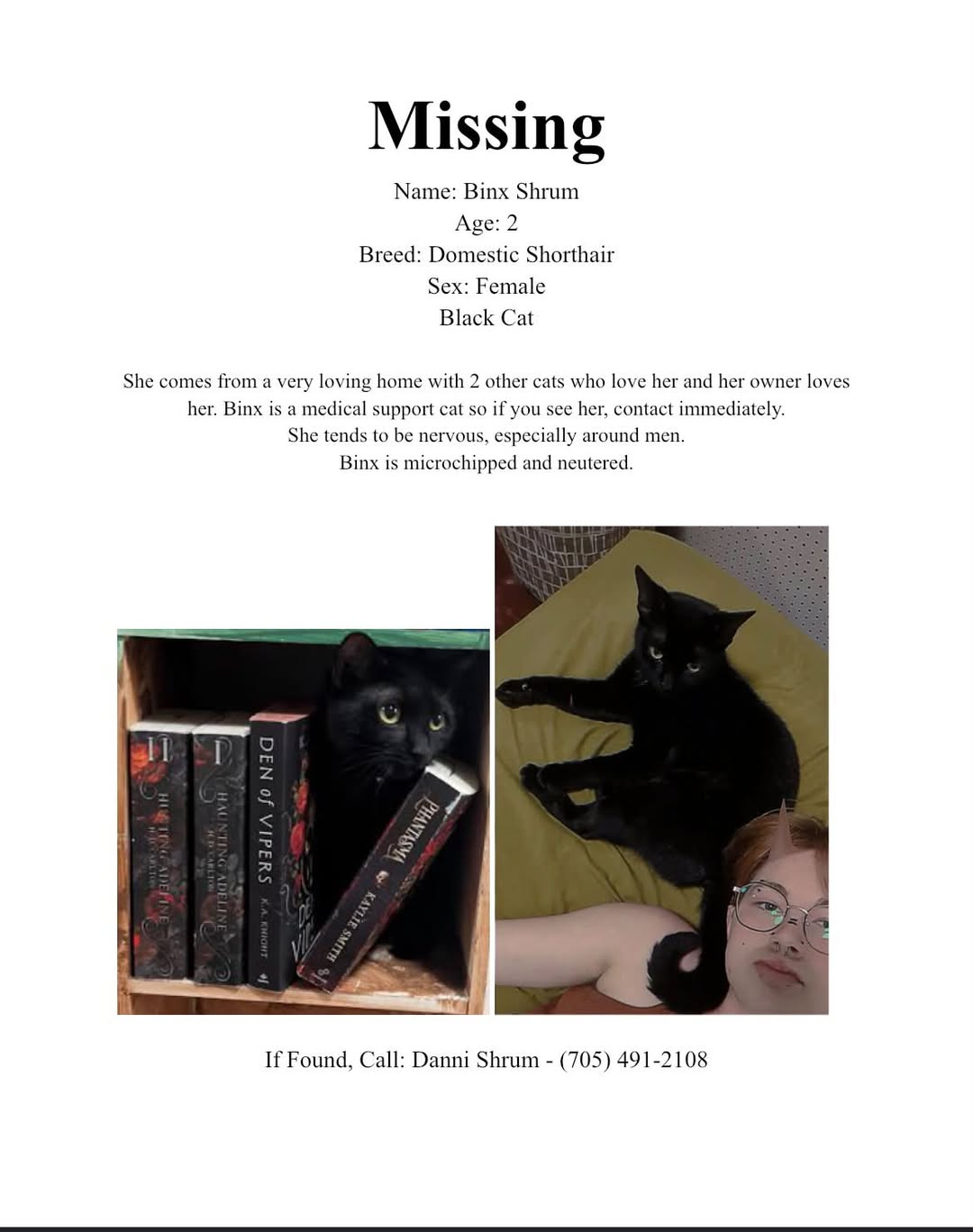 Lost Cat in Toronto