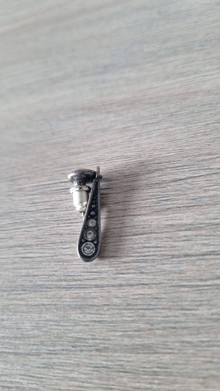 Lost Earring in Porsgrunn