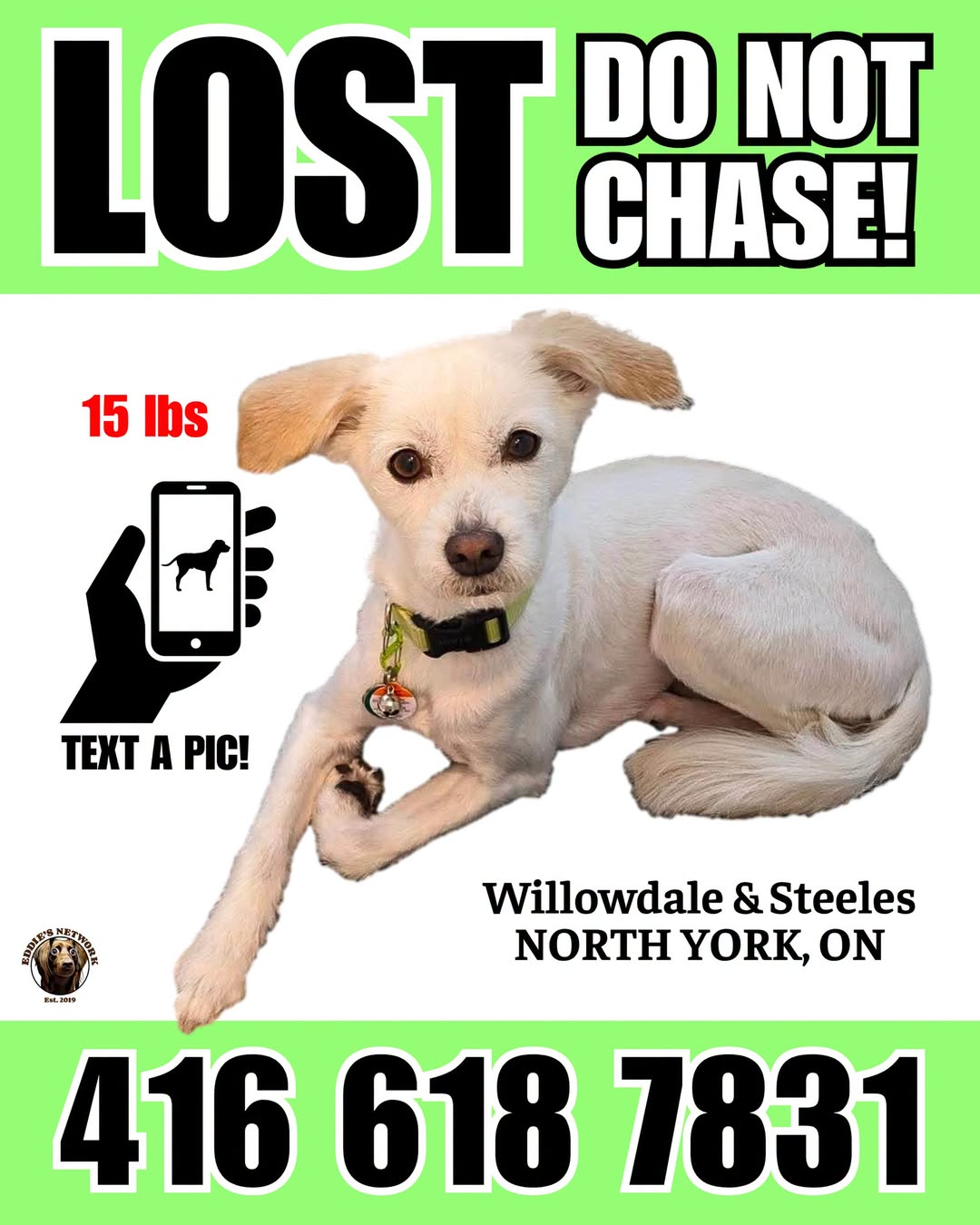 Lost Dog in Willowdale & Steeles
