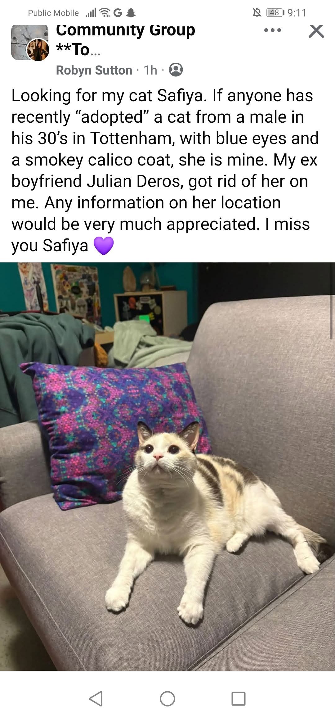 Lost Cat in Tottenham