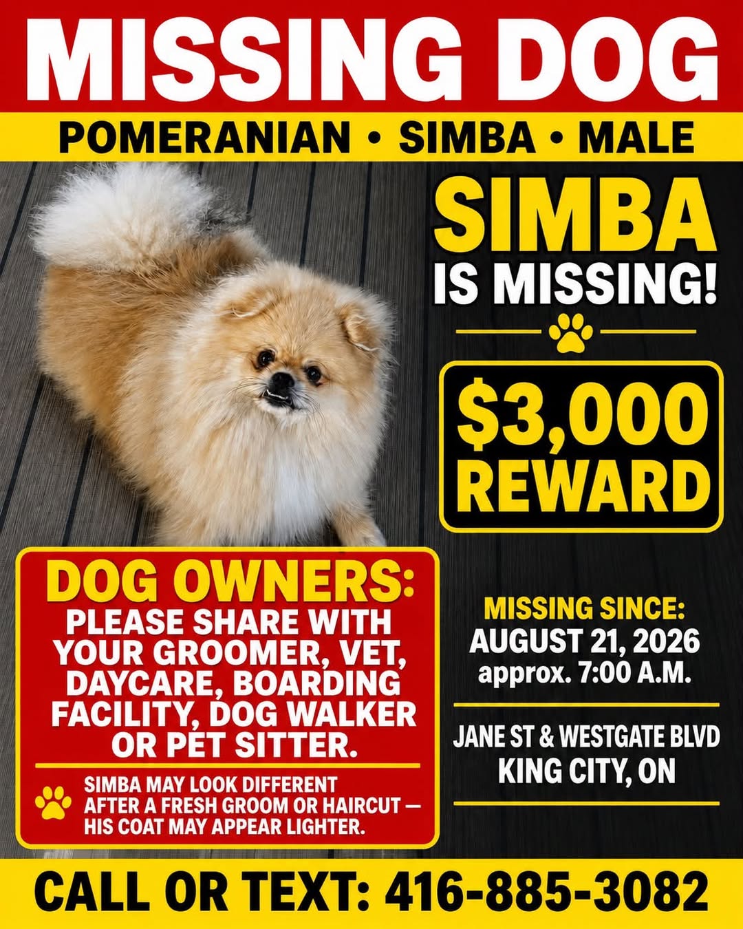 Lost dog