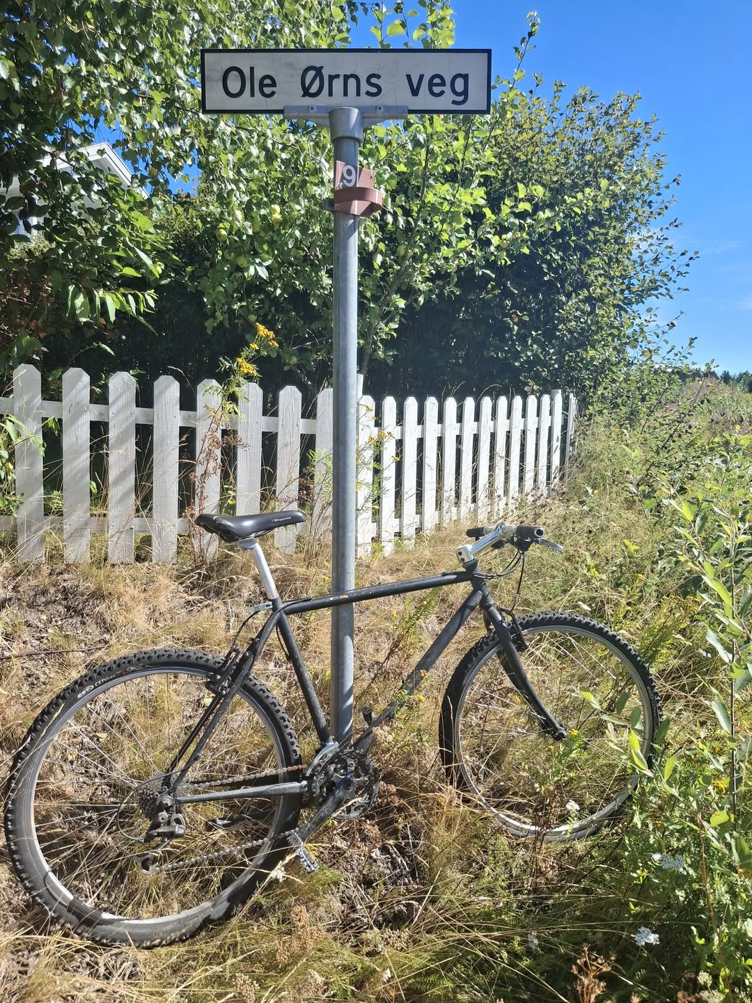 Found Bike in Elverum