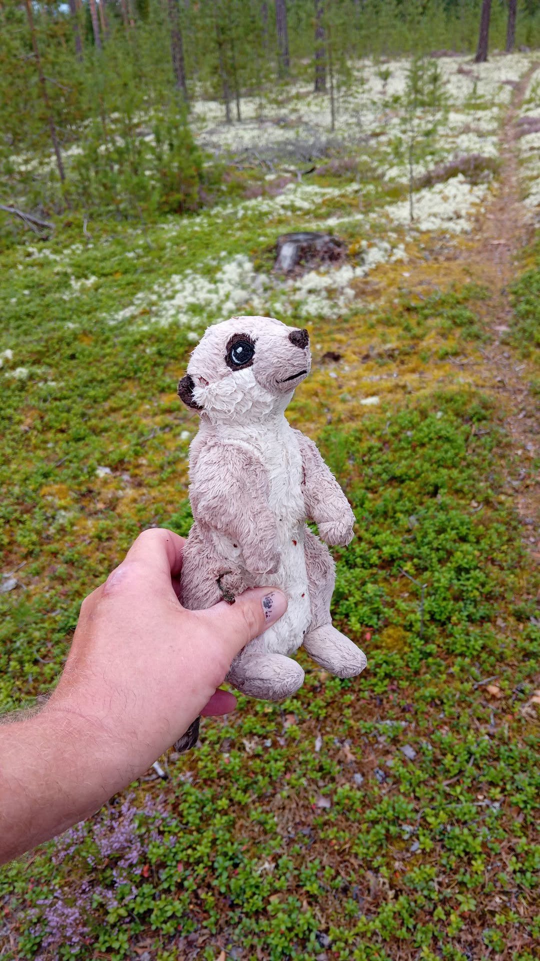 Found toy