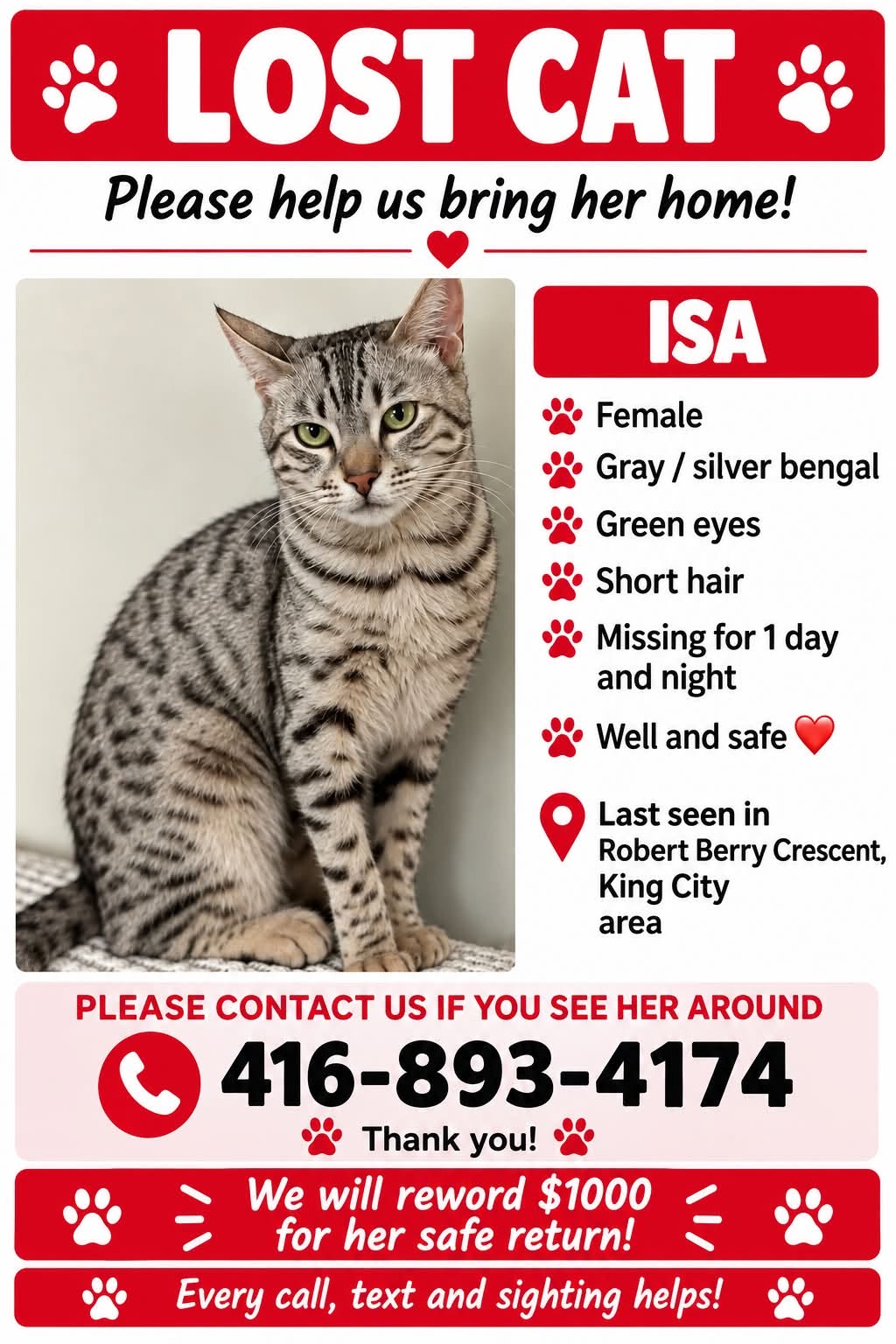 Lost Cat in Robert Berry Crescent