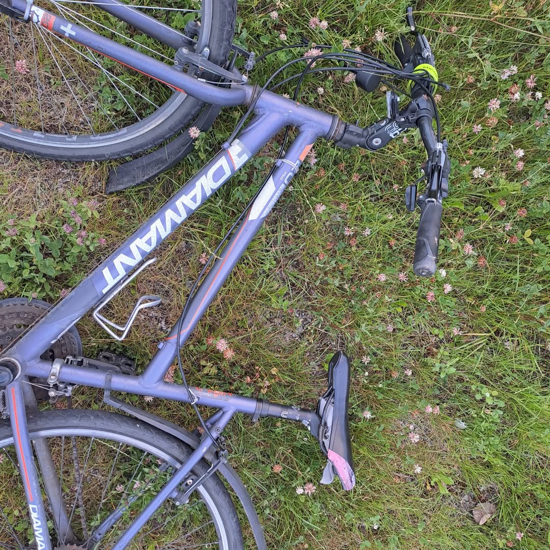 Found Bike in Telemark