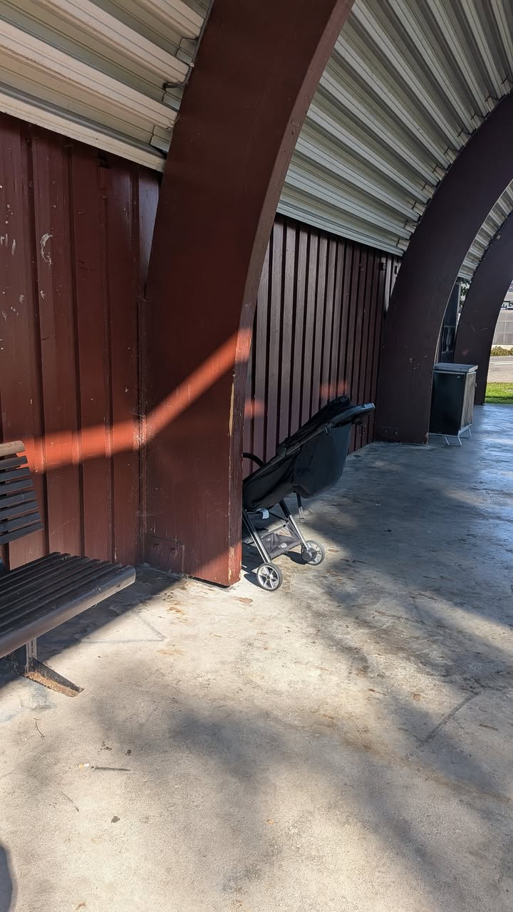 Found Stroller in Elverum