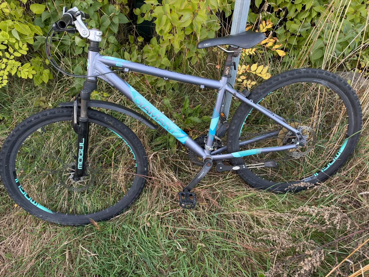 Found bike