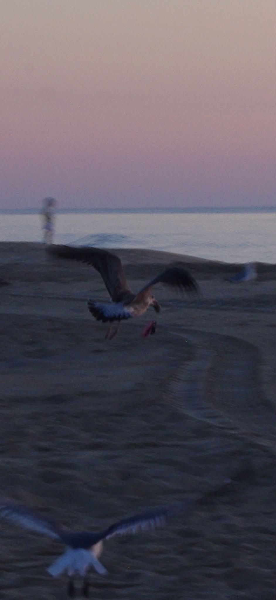 Lost Keys in Ocean City