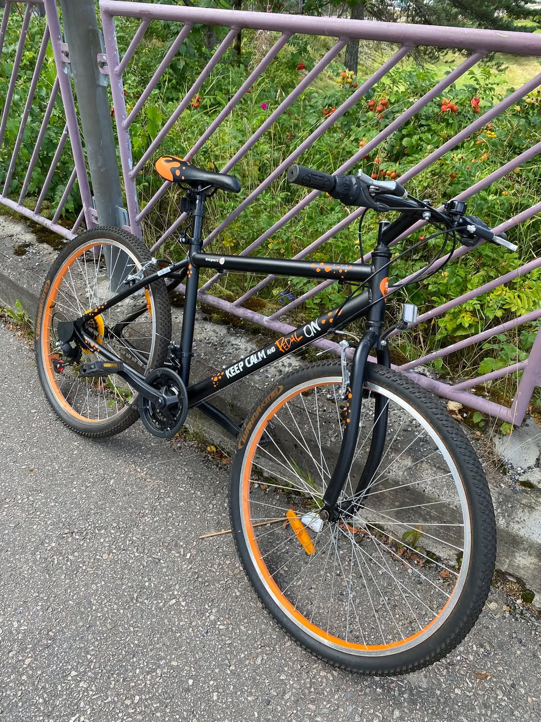 Found Bike in Elverum