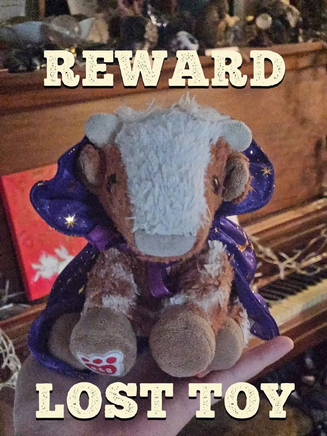 Lost toy