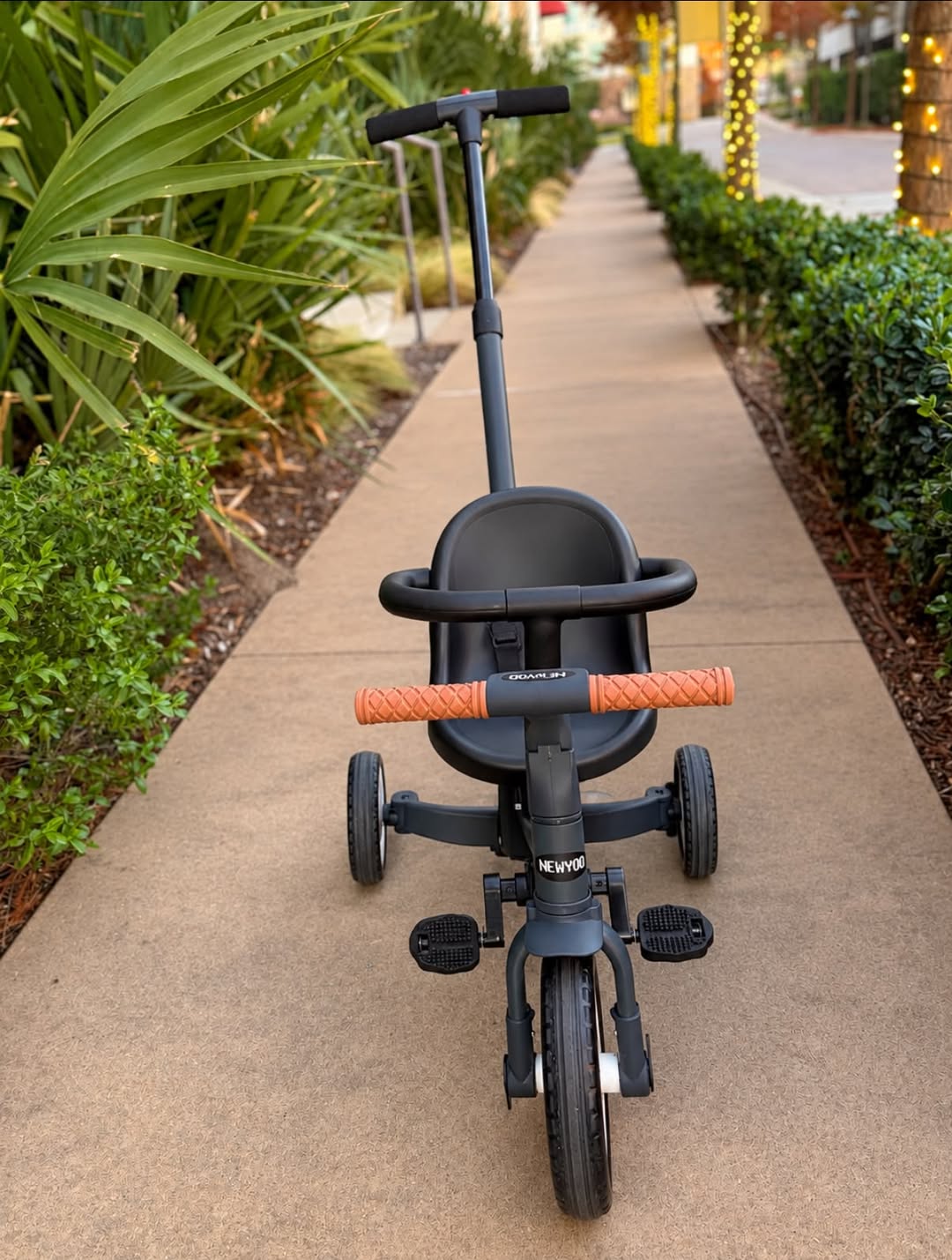 Lost stroller