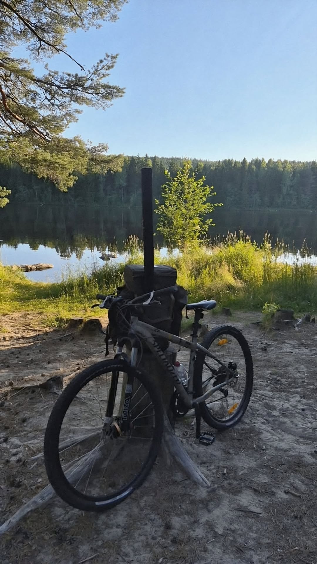Lost Bike in Elverum