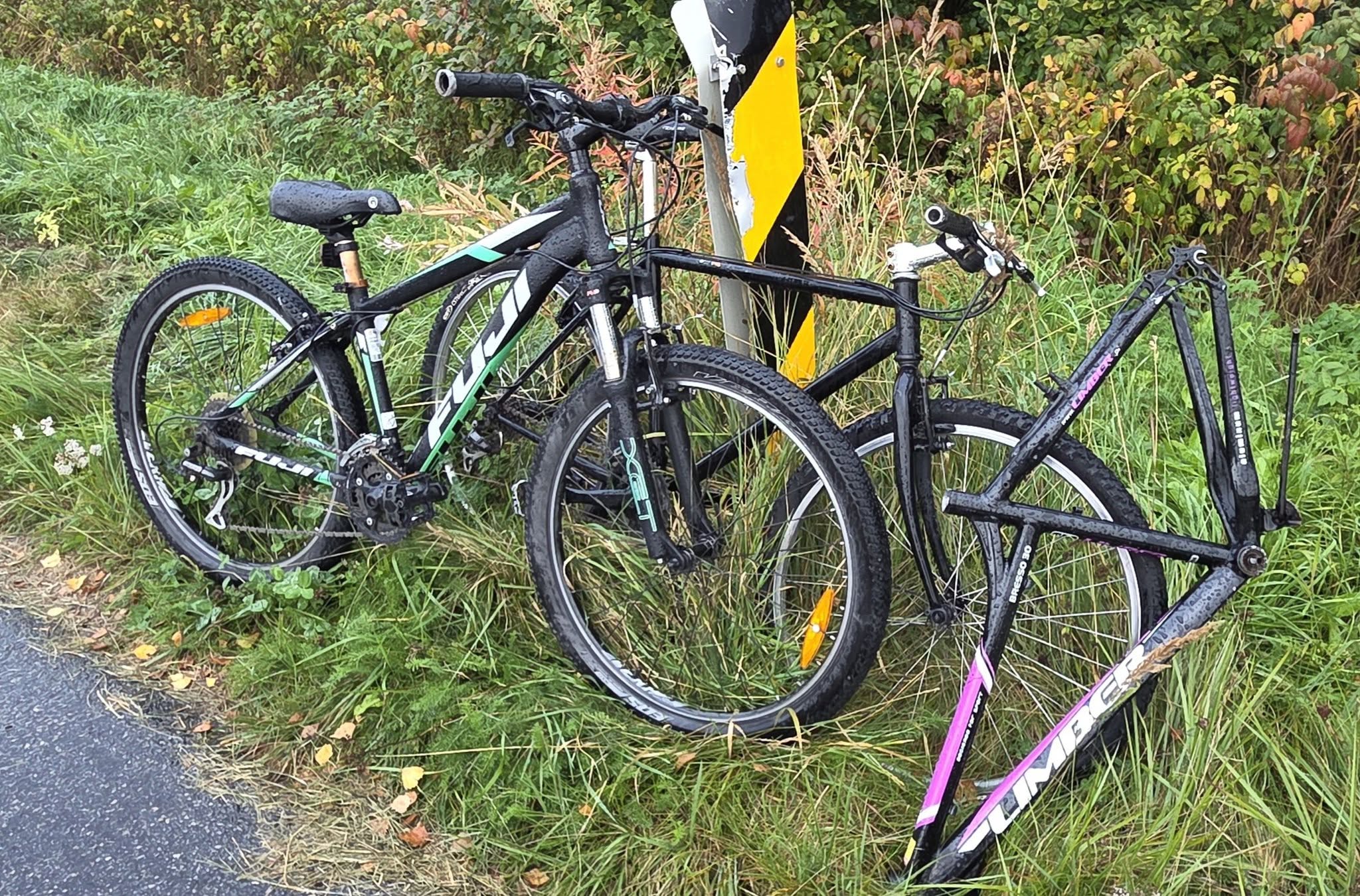 Found bike