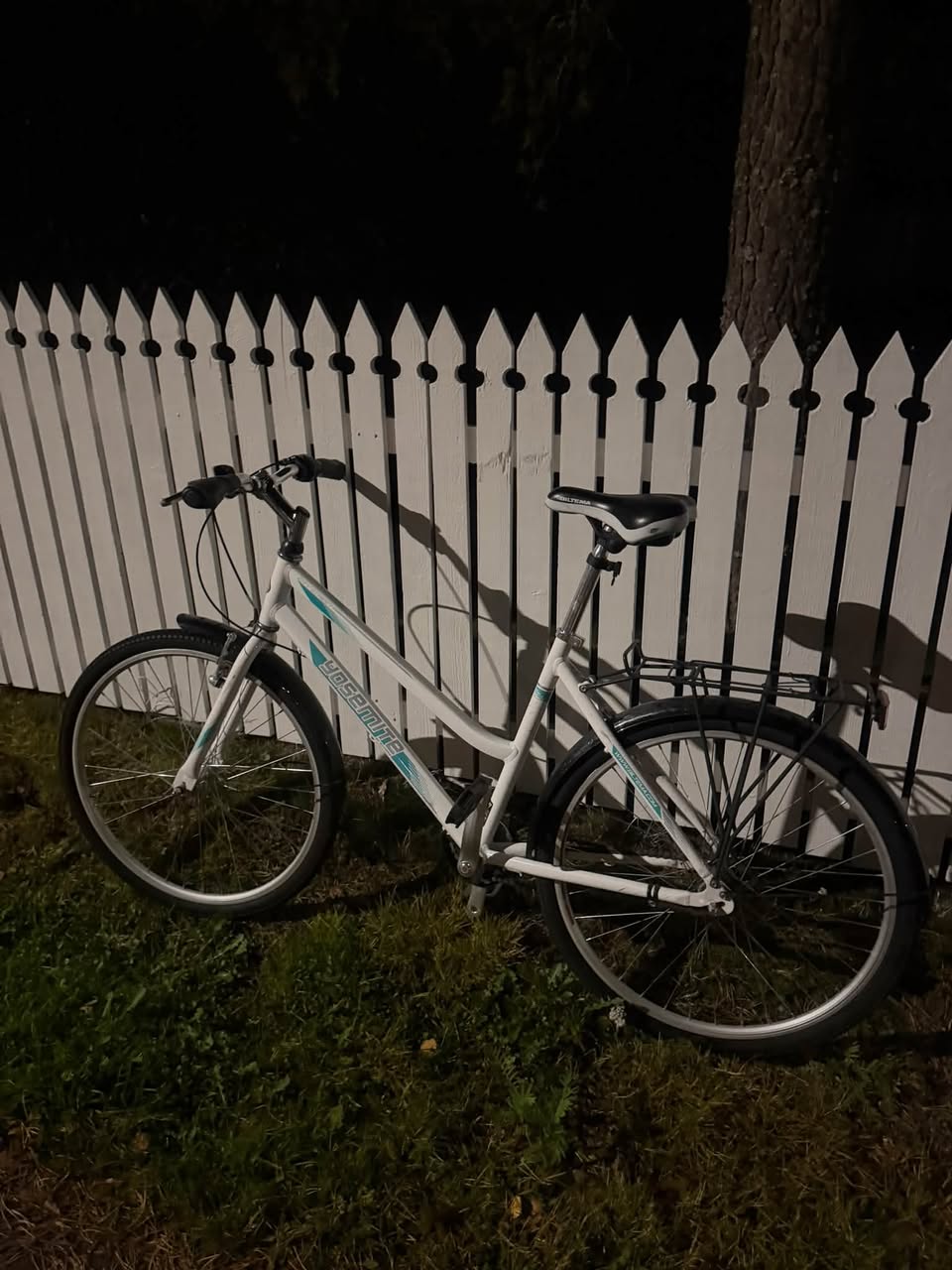 Found bike