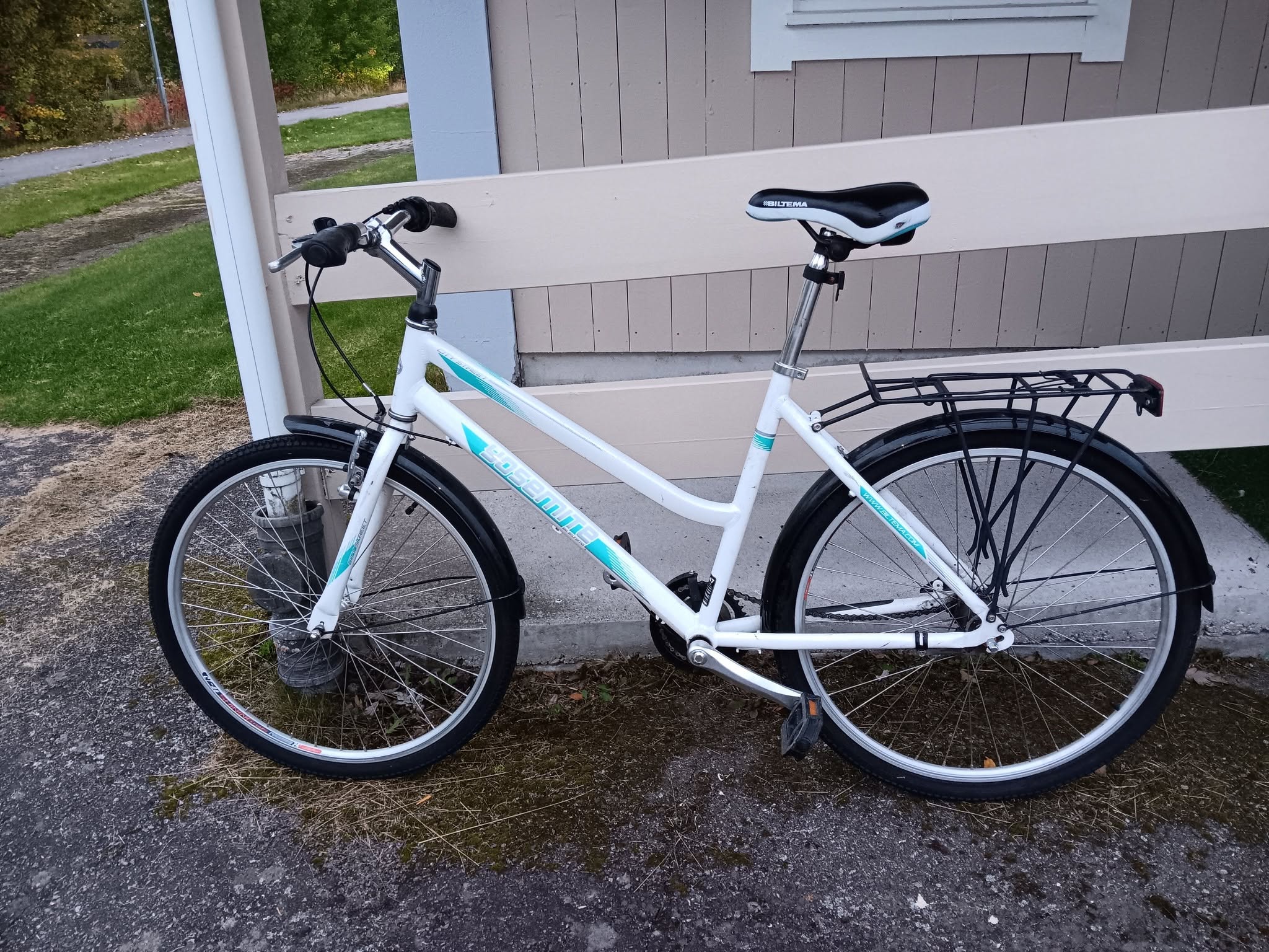 Found bike