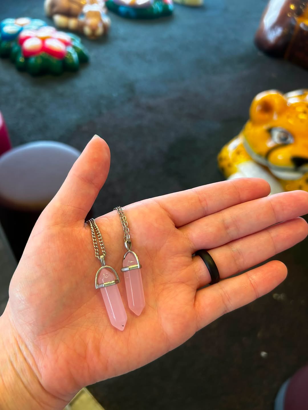 Found Necklace in Colorado