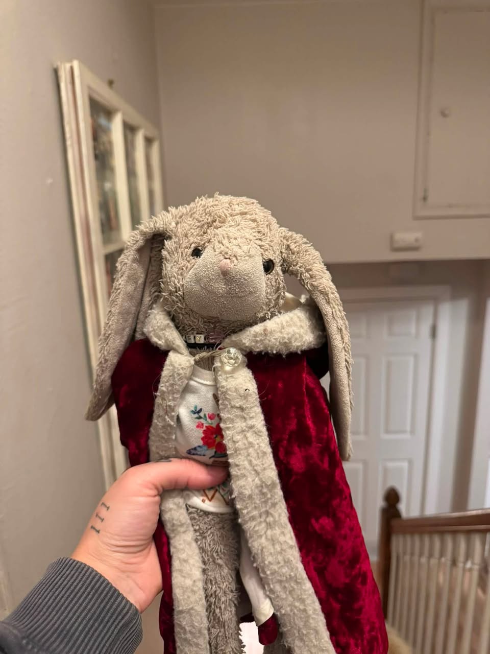 Lost Stuffed Animal in Denver