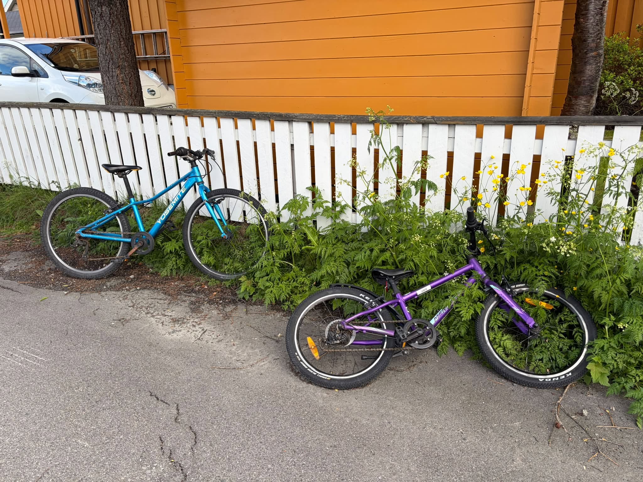 Found Bike in SøR-Varanger