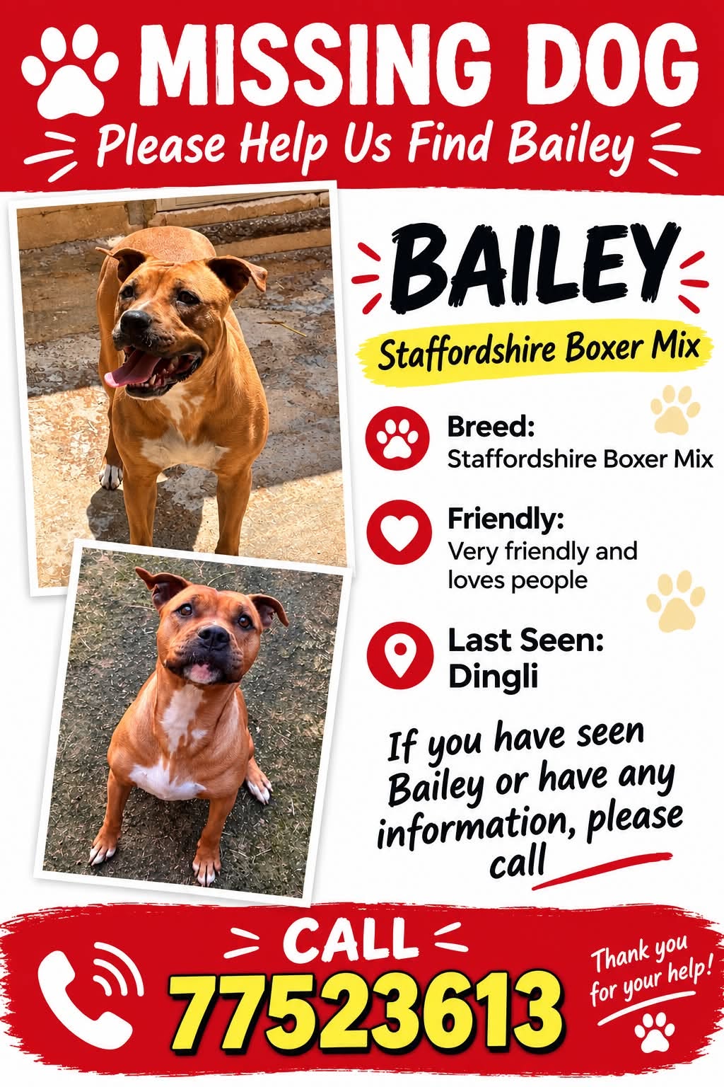 Lost dog