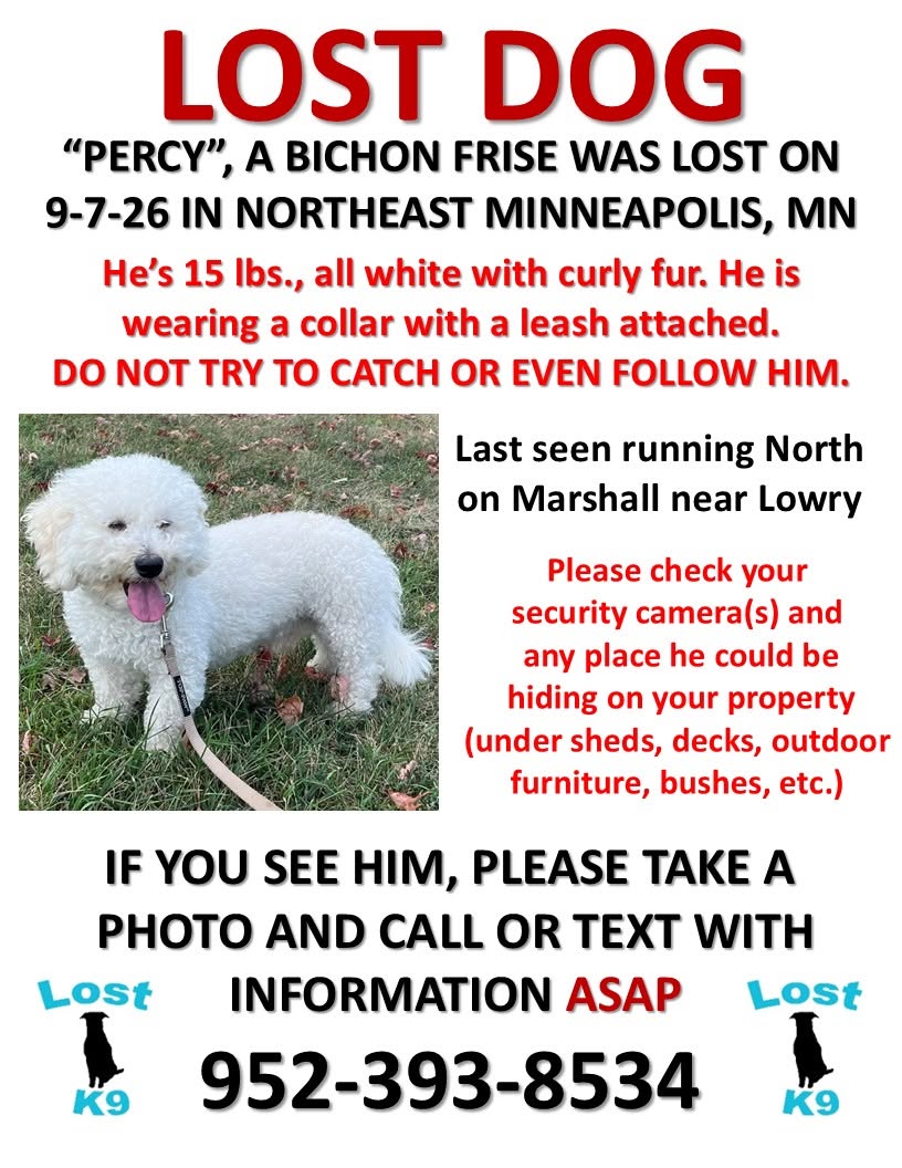 Lost Dog in Minneapolis