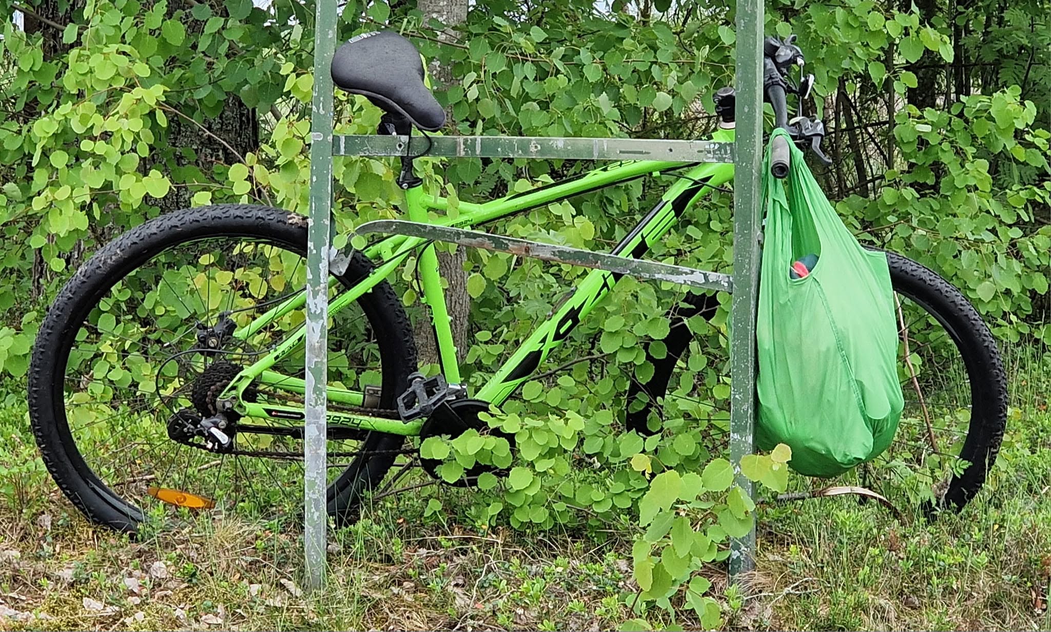 Found bike